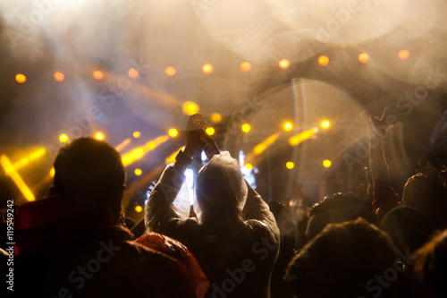 Crowd at concert © Melinda Nagy