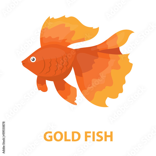 Gold fish icon cartoon. Singe aquarium fish icon from the sea,ocean life cartoon.