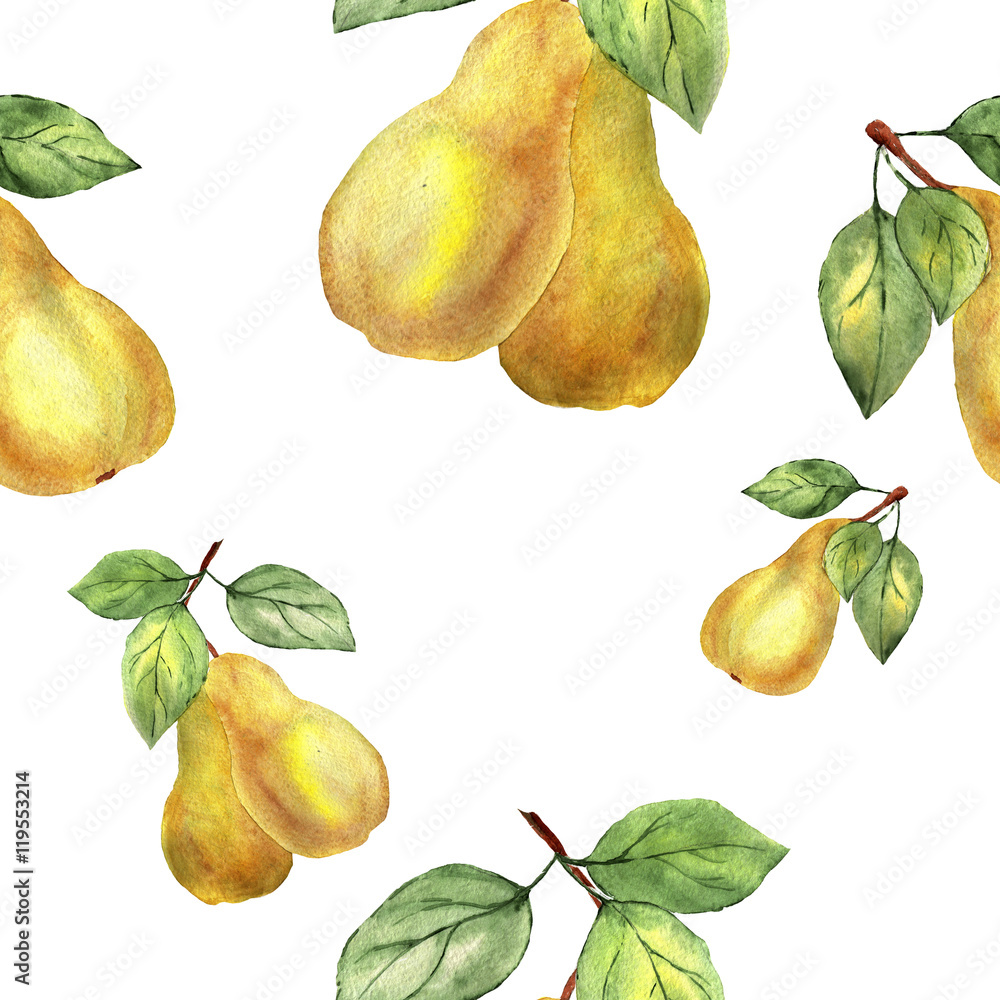 watercolor sketch pattern of pears watercolor sketch pattern of pears