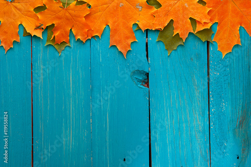 Slika na platnu Autumn leaves over turquoise wooden background with empty space