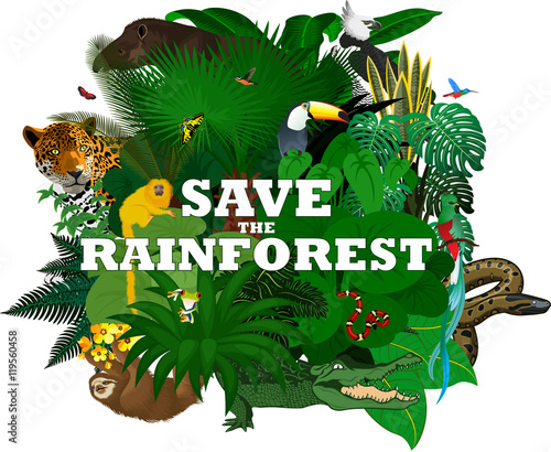 vector illustration with jungle rainforest animals - sloth, quetzal and monkey