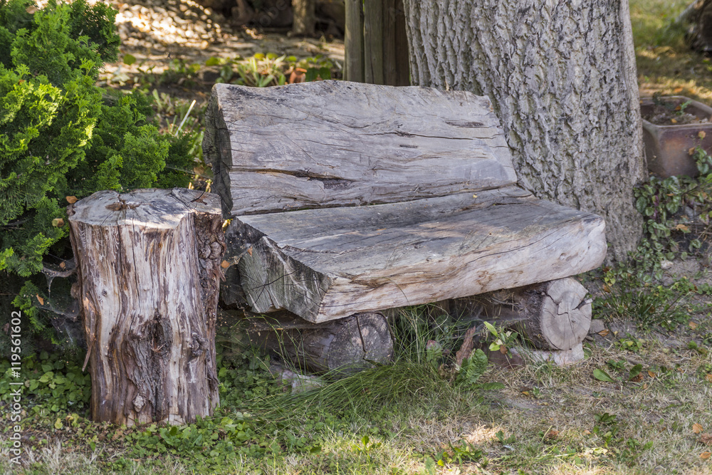 Naklejka premium bench from old tree trunk