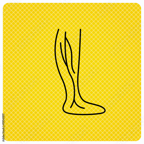 Phlebology icon. Leg veins sign.