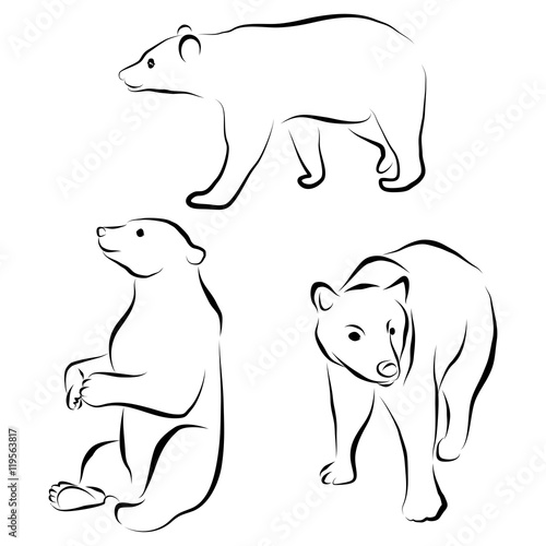vector set of bear silhouettes isolated on white background. Wild grizzly contour, animal in different poses. Hand drawn wild mammal. Graphic illustration clip art. Flat design