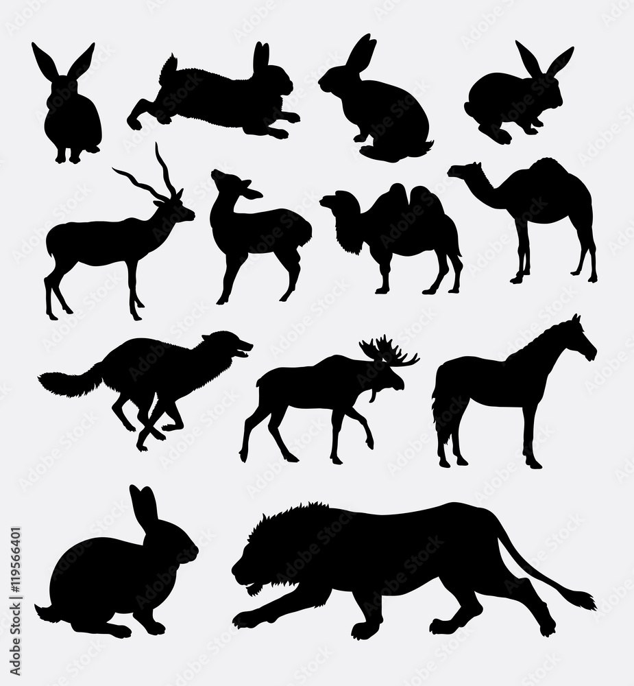 Fototapeta premium Wild animal silhouette