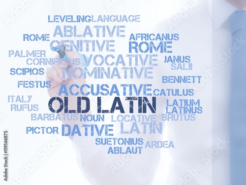 Tablou pe pânză Old Latin