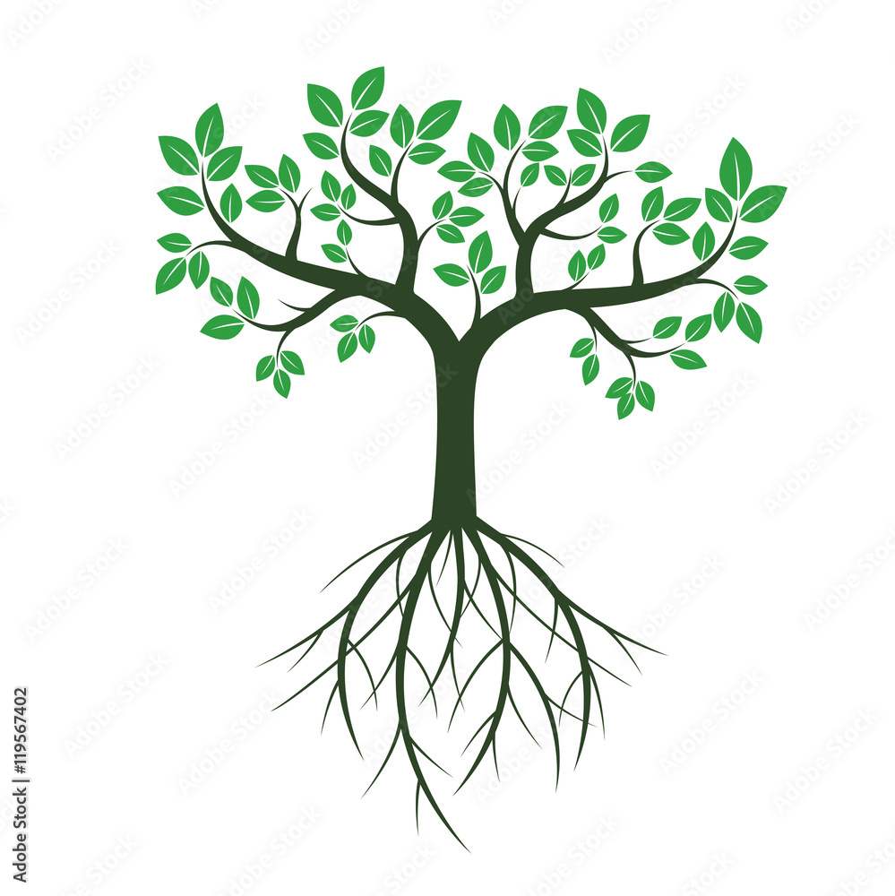Green Trees. Vector Illustration. Green Trees. Vector Illustration.