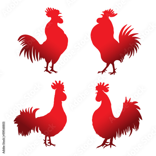 Set of roosters in different directions and poses. Hand drawing of red cocks. Collection of detailed quality farm birds. Bundle of zodiac symbols for Chinese New year 2017.  