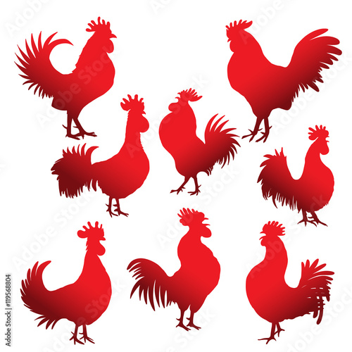 Set of roosters in different directions and poses. Hand drawing of red cocks. Collection of detailed quality farm birds. Bundle of zodiac symbols for Chinese New year 2017.  