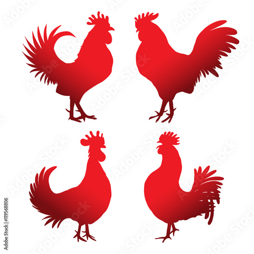 Set of roosters in different directions and poses. Hand drawing of red cocks. Collection of detailed quality farm birds. Bundle of zodiac symbols for Chinese New year 2017.  