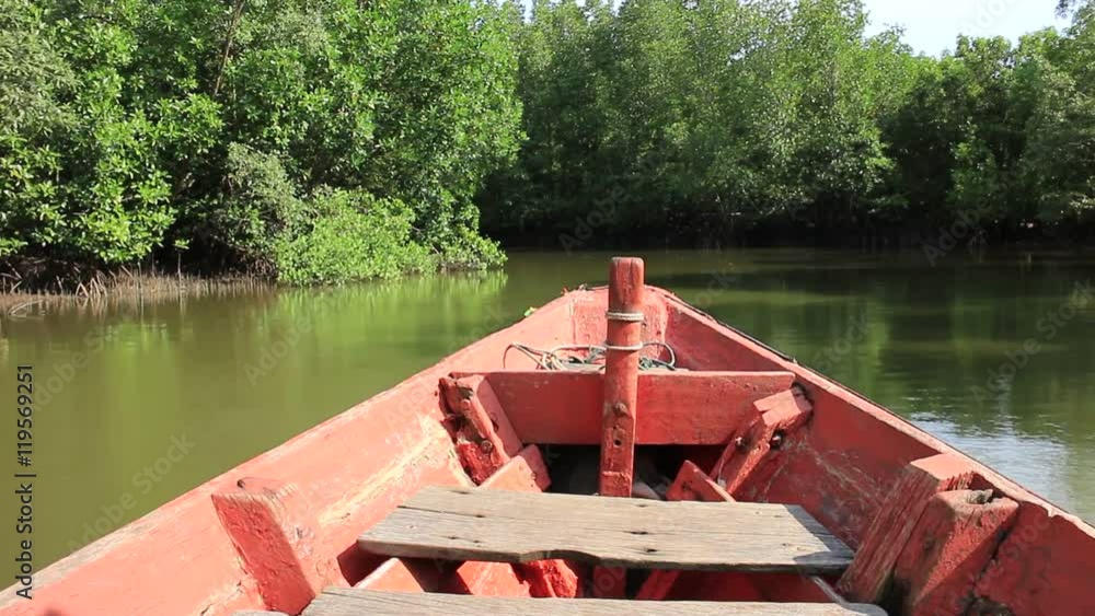 Water canals and mangroves Water canals and mangroves