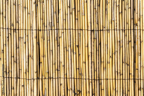 Bambu Fence Background