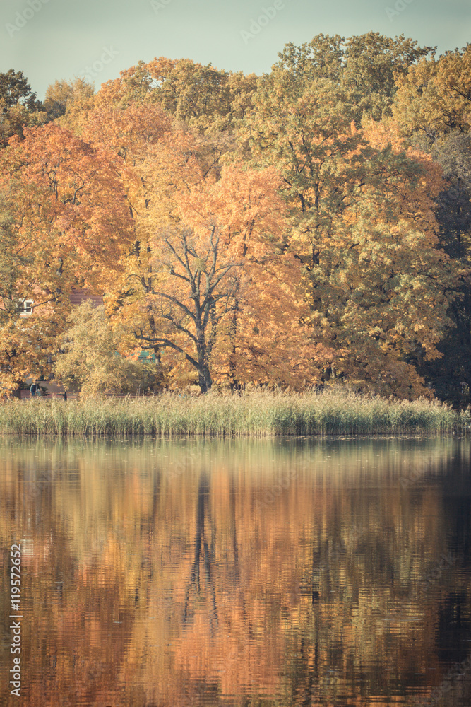 Obraz premium Vintage photo, Trees with orange leaves and pond in autumn park