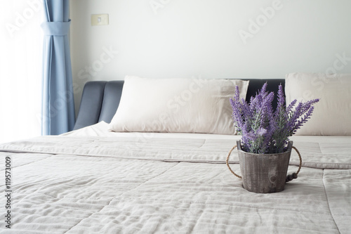 The bed with purple lavender flower on flower pot. photo