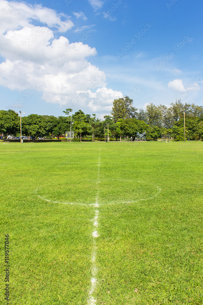 White stripe on the green soccer field