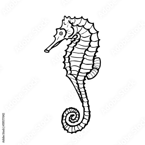 Vector illustration of seahorse silhouette. Hand drawn seahorse