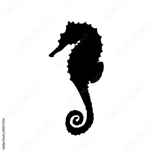 vector illustration of silhouette of seahorse. Hippocampus