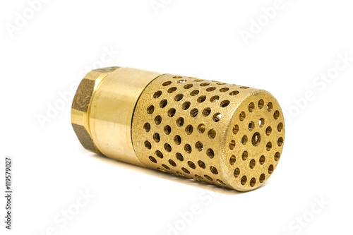 spring loaded foot valve