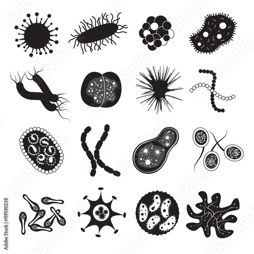 Bacteria Virus and Microbiology Set