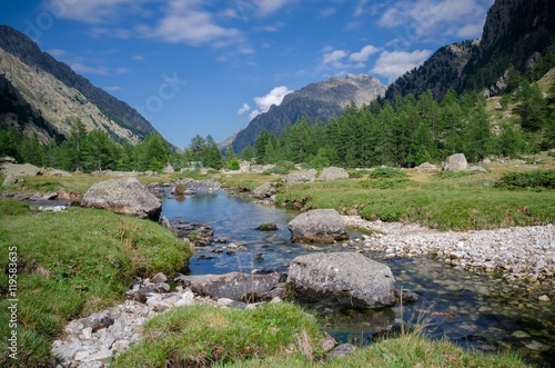 Mountain plateau with river, grass and trees