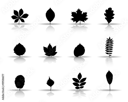 Herbstblätter - Schwarz (Schatten)