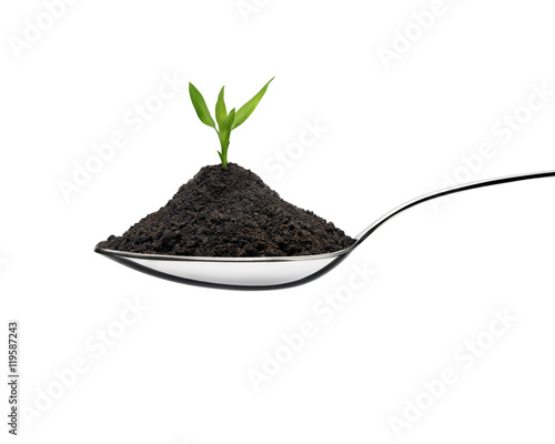 Pile of soil into a spoon and growing plant in a ecological concept. Front view against white background.