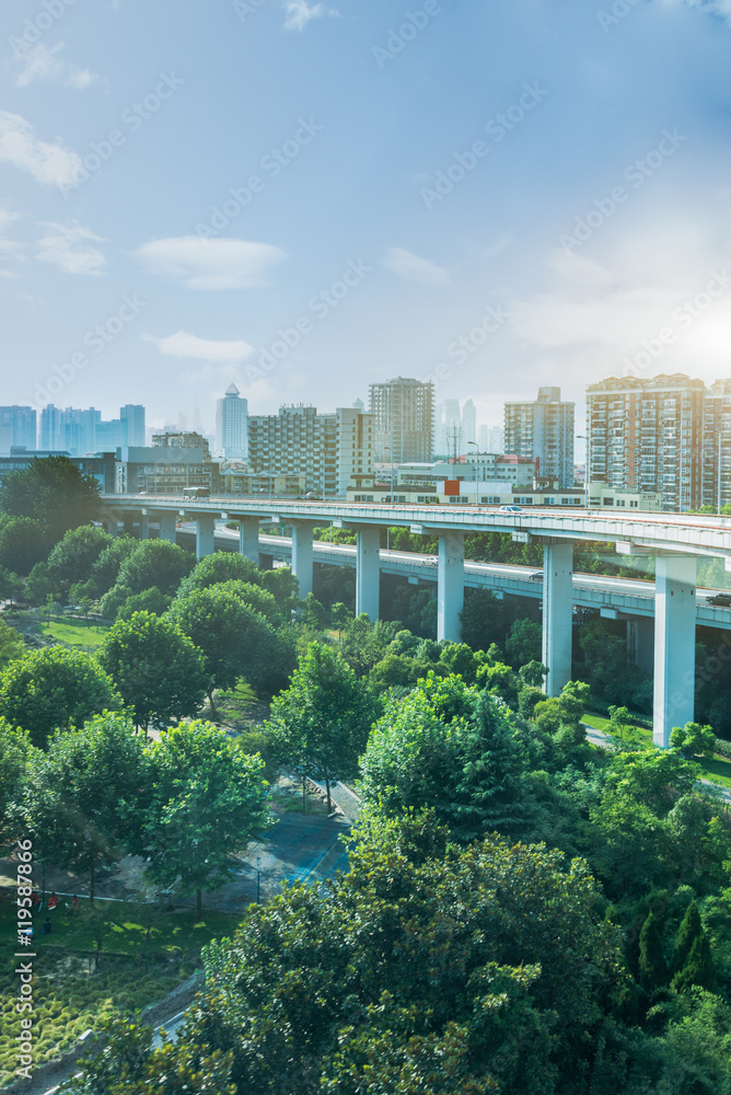 Fototapeta premium Beautiful green field and Shanghai skyline.