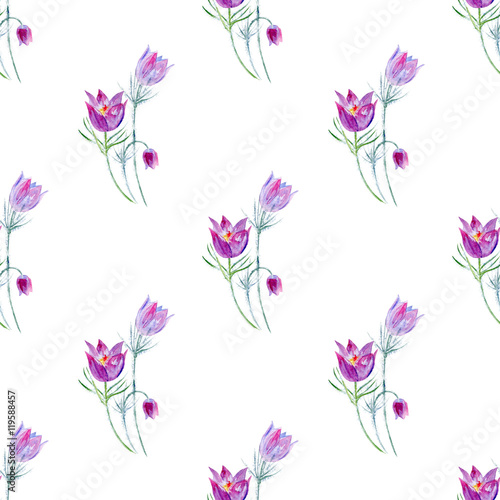 Floral seamless pattern with pasque flowers.Watercolor hand drawn illustration.White background.Snowdrop.