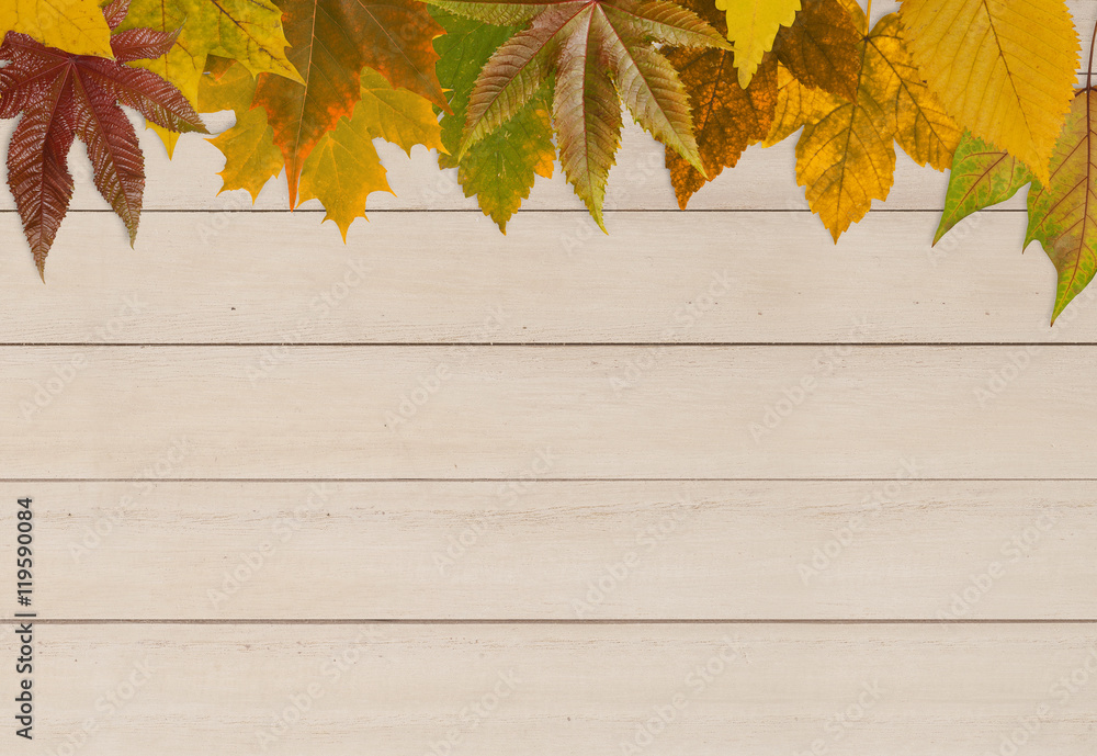 Autumn leafs on wood