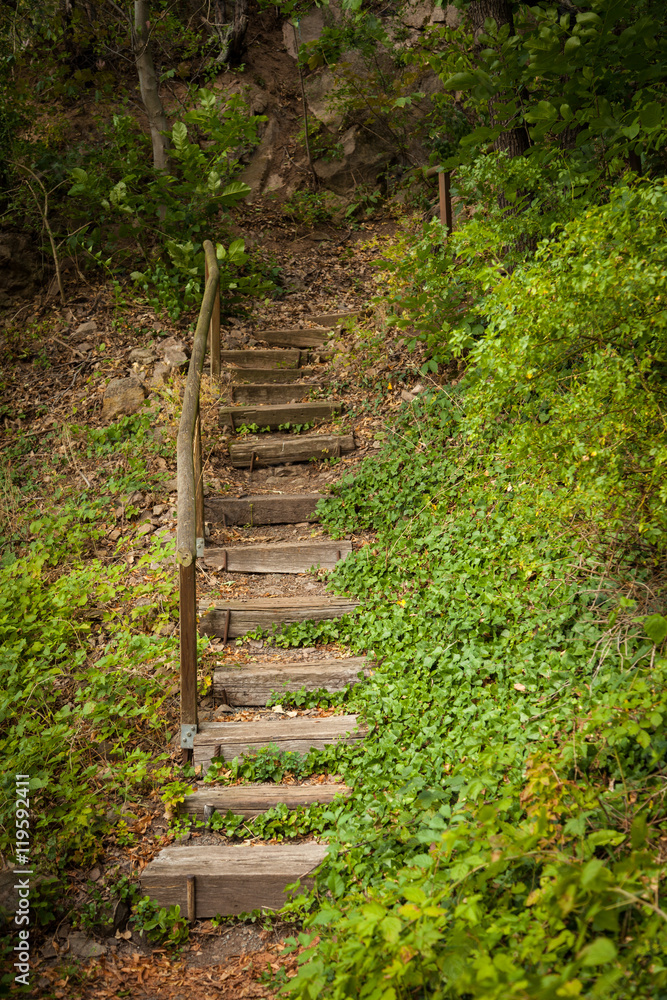 Fototapeta premium Wanderweg mit Treppe