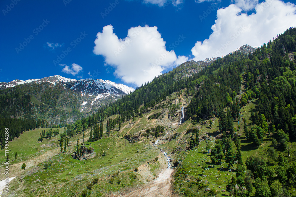 Kashmir Landscape