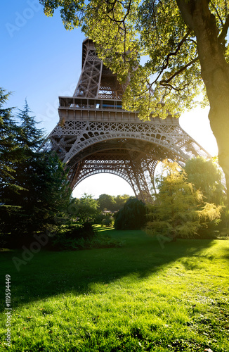 Eiffel tower and trees