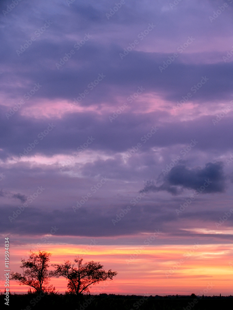 Dramatic cloudy purple violet pink sunset sky with tree silhouette