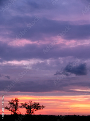 Dramatic cloudy purple violet pink sunset sky with tree silhouette