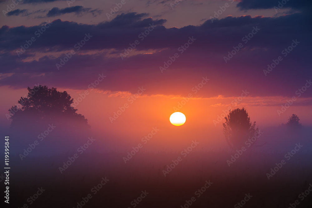 The foggy field on the background of sunset The foggy field on the background of sunset