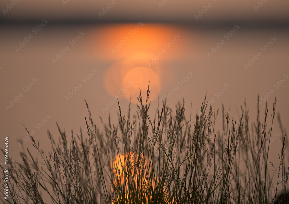 An amazing sunset by the sea. Image taken in Finland during summer evening. Some grass is acting as a silhouette. Plenty of room for text.