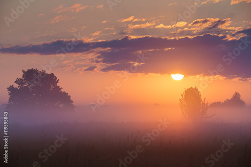The foggy field on the background of sunset