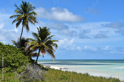 Fototapeta Naklejka Na Ścianę i Meble -  keys Island - Bahia Honda beach, Florida