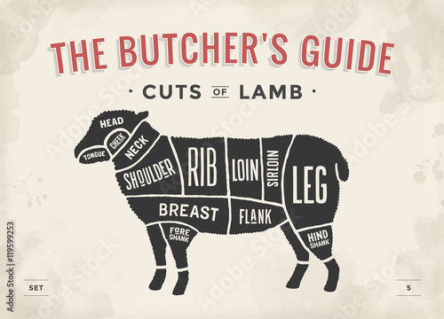 Cut of beef set. Poster Butcher diagram and scheme - Lamb photo
