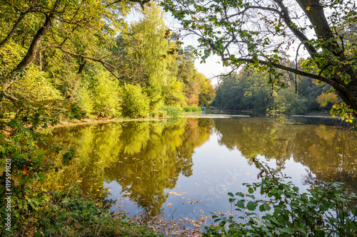 Autumn park. Leaf fall. Lake.