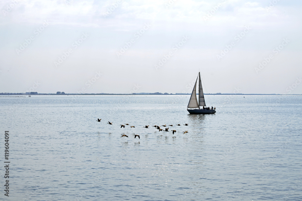 Obraz premium Sailing ship is sailing on the serene sea with goose birds flying next to it