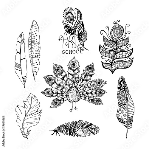 Decorative line art doodle style tribal feathers