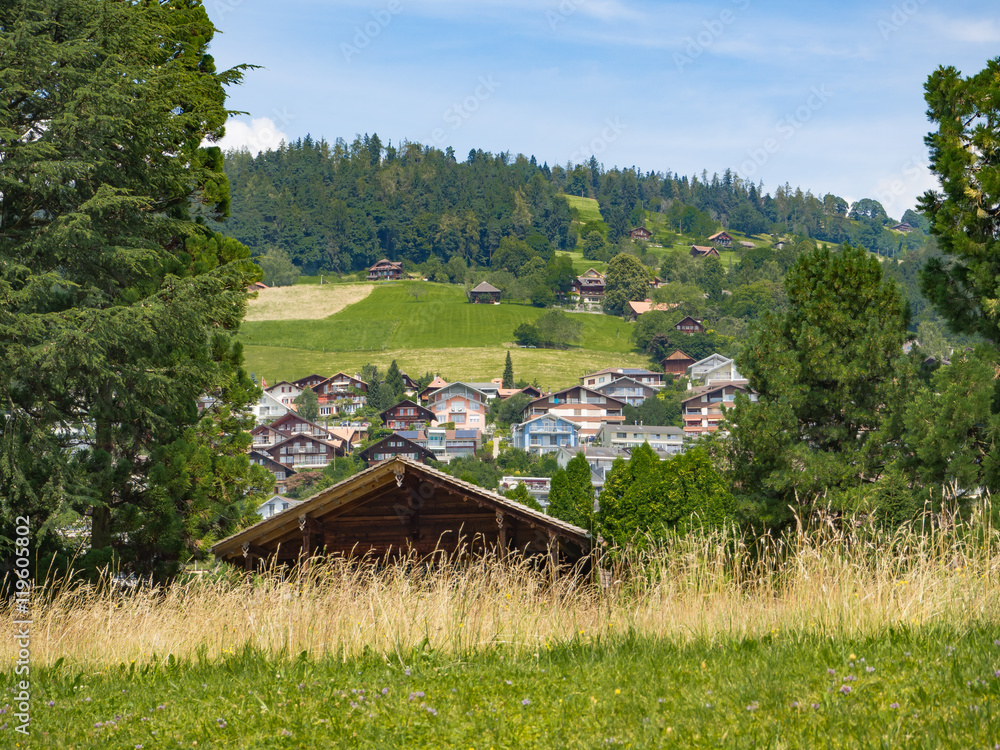 Obraz premium Vista del pueblo de Oberhofen con vegetación verde, árboles , prados y casas en Suiza viajando en verano de 2016