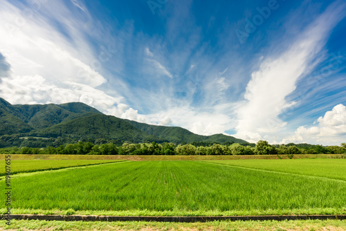 日本の田園風景