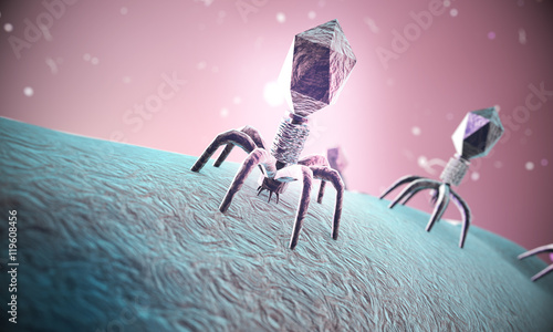 Obraz na plátně Bacteriophage viruses infecting bacterial cell