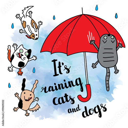 "It's raining cats and dogs" autumn card.