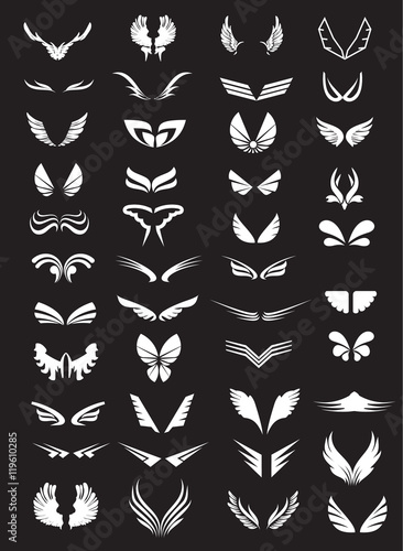 Set of wings