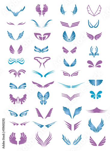 Set of wings