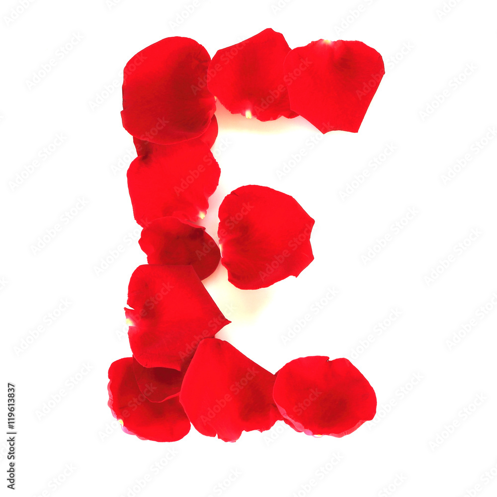 Fototapeta premium Alphabet letter E made from red petals rose isolated on a white