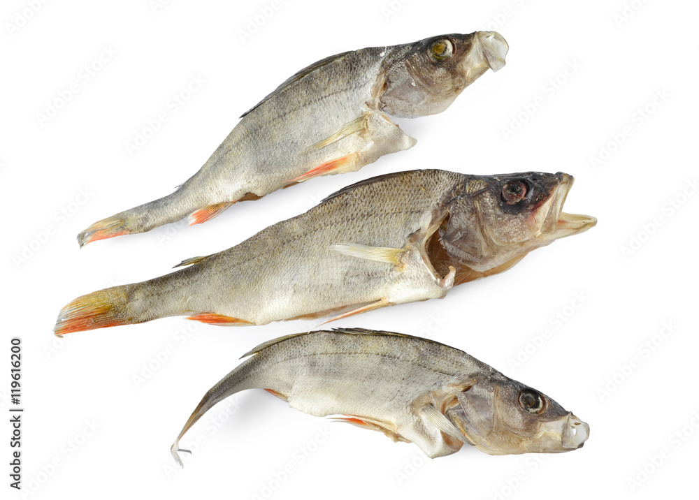 Dried fish isolated on white background. Three salted dried river perch, bass